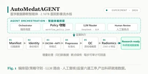 AutoMedatAGENT / 医学数据静默智能体